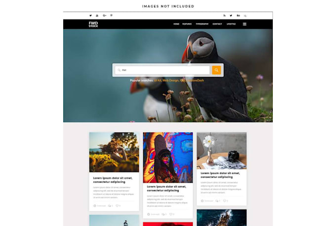 create responsive wordpress website or redesign
